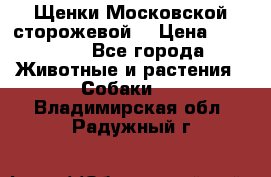 Щенки Московской сторожевой  › Цена ­ 25 000 - Все города Животные и растения » Собаки   . Владимирская обл.,Радужный г.